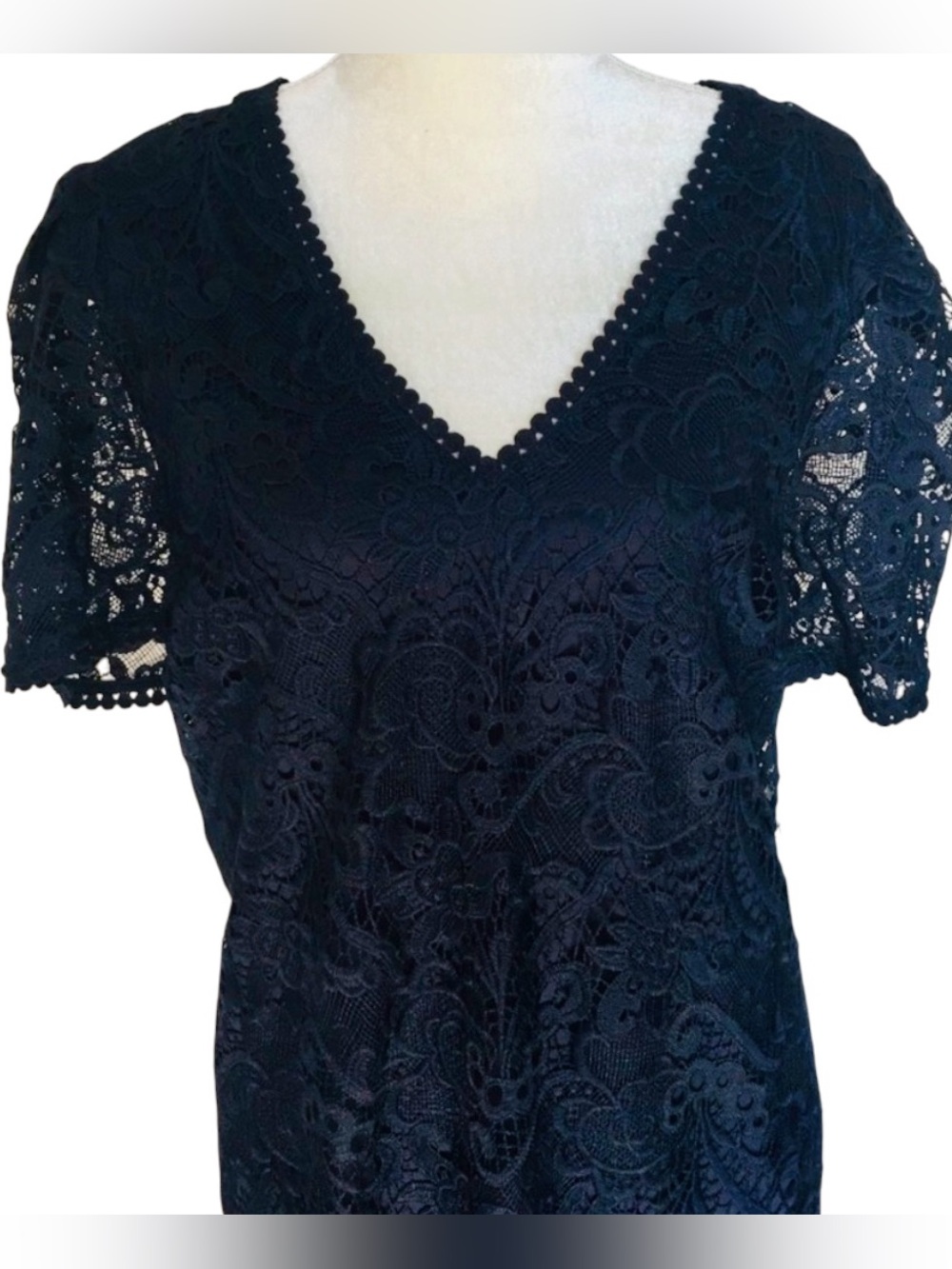 Express Navy Blue Lace Dress XL V-Neck Puff Sleeve Scalloped Hem Cocktail Party - Picture 6 of 11